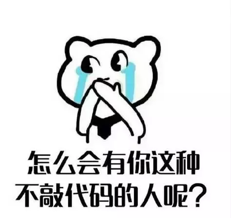 谁都不能阻止我敲代码