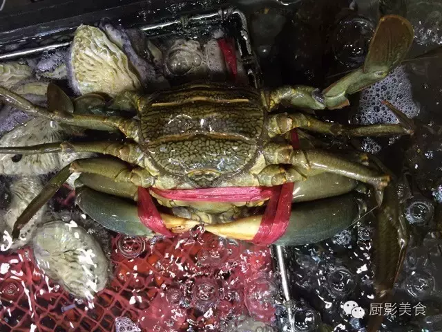 香港西贡海鲜市场,珍稀野生鱼类宝典! 食材宝典 第71张 香港西贡海鲜市场,珍稀野生鱼类宝典! 食材宝典 第71张