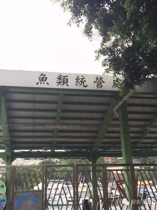 香港西贡海鲜市场,珍稀野生鱼类宝典! 食材宝典 第74张 香港西贡海鲜市场,珍稀野生鱼类宝典! 食材宝典 第74张