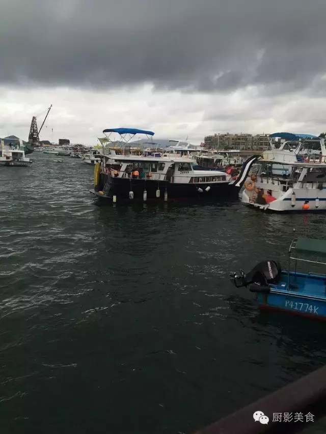香港西贡海鲜市场,珍稀野生鱼类宝典! 食材宝典 第1张 香港西贡海鲜市场,珍稀野生鱼类宝典! 食材宝典 第1张