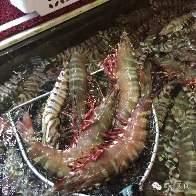 香港西贡海鲜市场,珍稀野生鱼类宝典! 食材宝典 第43张 香港西贡海鲜市场,珍稀野生鱼类宝典! 食材宝典 第43张