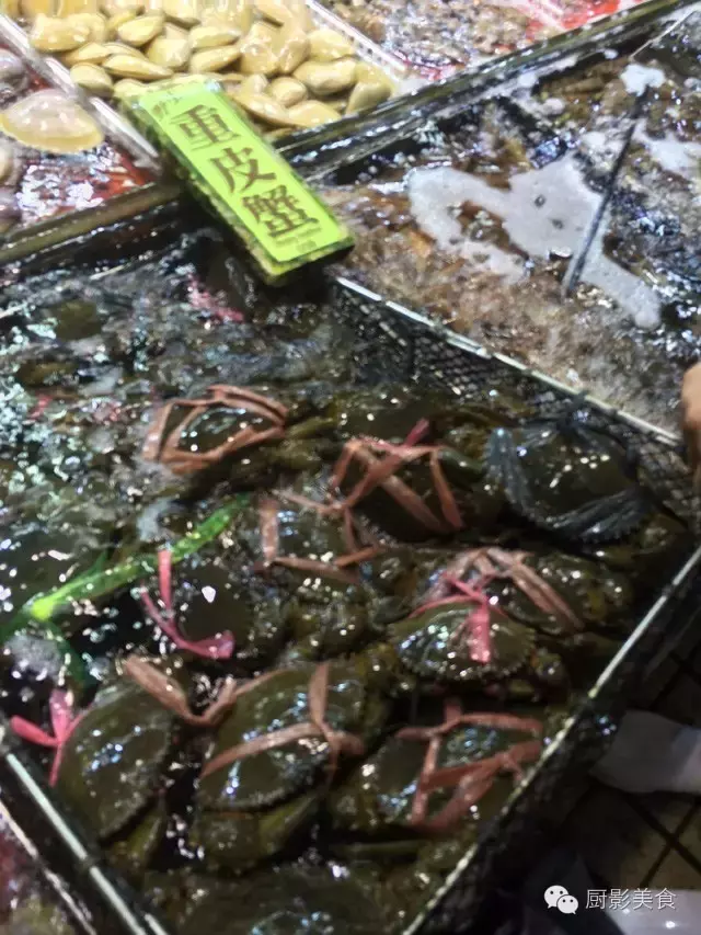 香港西贡海鲜市场,珍稀野生鱼类宝典! 食材宝典 第46张 香港西贡海鲜市场,珍稀野生鱼类宝典! 食材宝典 第46张