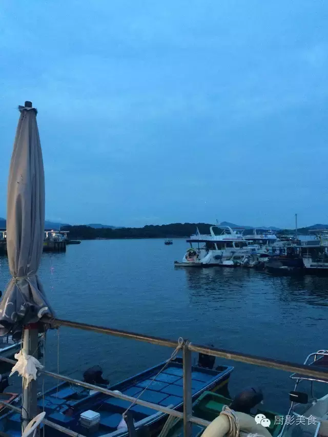 香港西贡海鲜市场,珍稀野生鱼类宝典! 食材宝典 第75张 香港西贡海鲜市场,珍稀野生鱼类宝典! 食材宝典 第75张