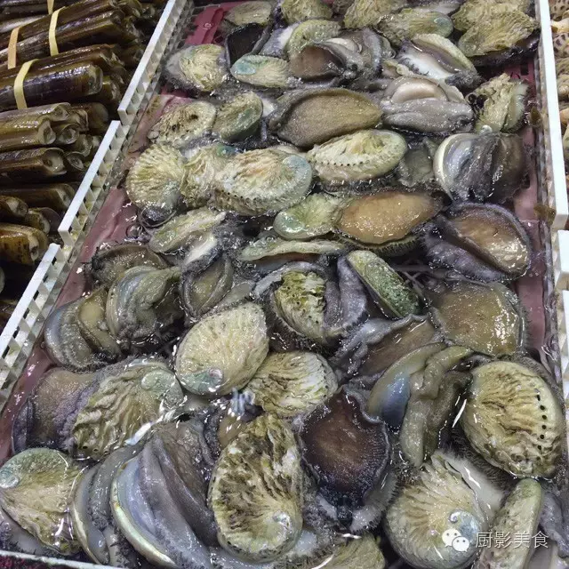 香港西贡海鲜市场,珍稀野生鱼类宝典! 食材宝典 第44张 香港西贡海鲜市场,珍稀野生鱼类宝典! 食材宝典 第44张