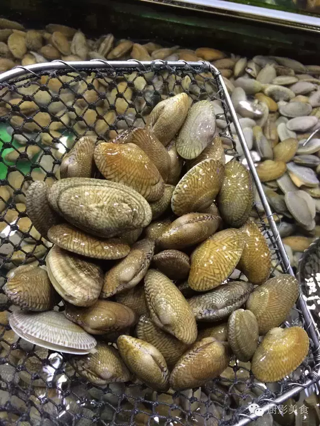 香港西贡海鲜市场,珍稀野生鱼类宝典! 食材宝典 第52张 香港西贡海鲜市场,珍稀野生鱼类宝典! 食材宝典 第52张