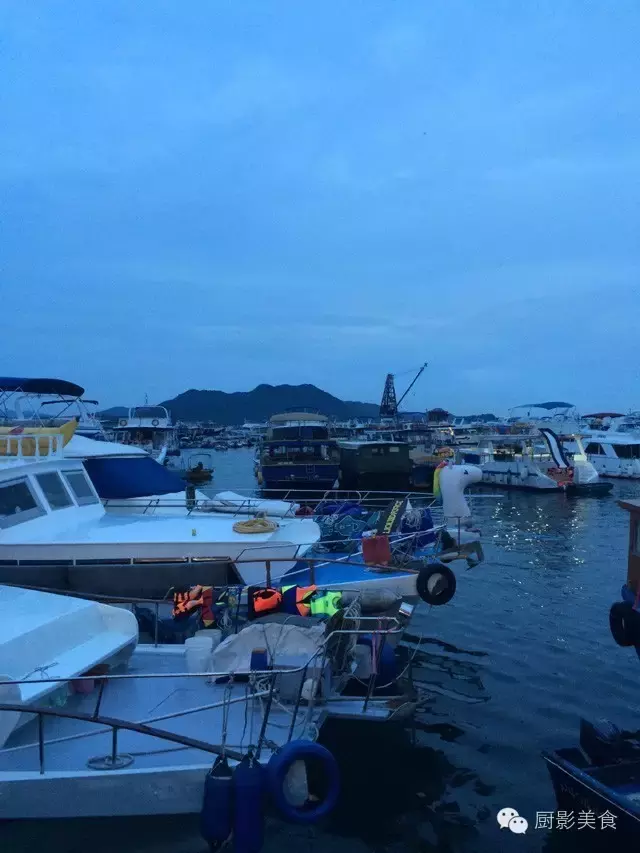 香港西贡海鲜市场,珍稀野生鱼类宝典! 食材宝典 第76张 香港西贡海鲜市场,珍稀野生鱼类宝典! 食材宝典 第76张