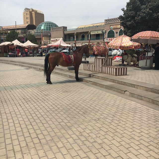 即使月入两万，遇见这种事我就是要辞职！