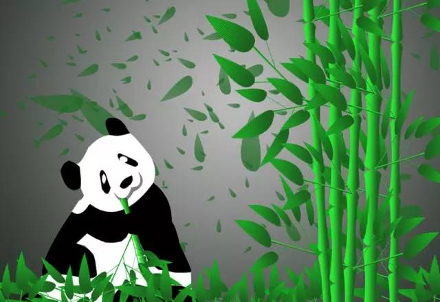 滚滚故事 | 30年前，谁改写了大熊猫的命运