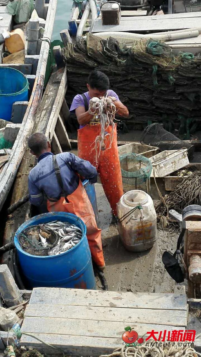 开海季：东口码头渔民捕捞归来