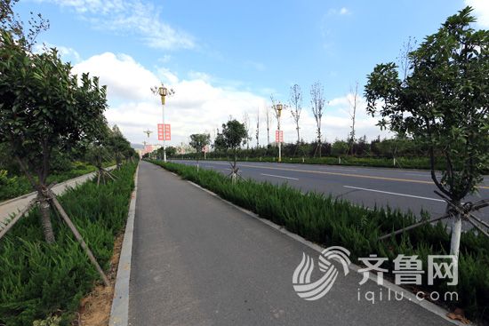 临沂临港区：绿化工程提升城市宜居指数