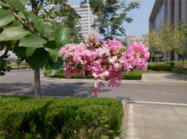 手感好，颜值高，魅蓝E用哪点打动了阅机无数的测评达人