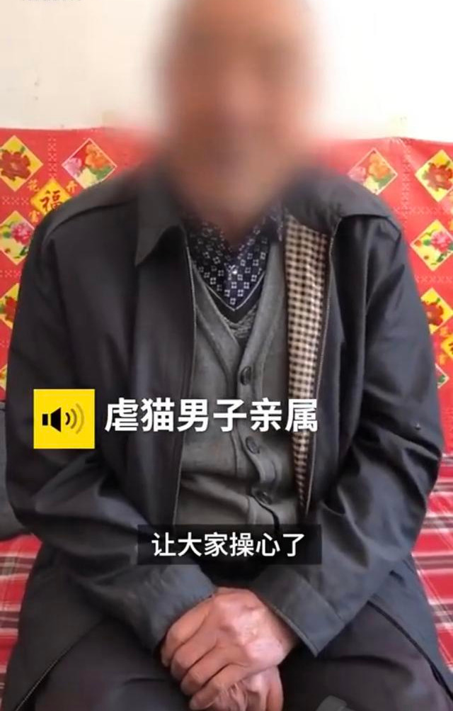 太原虐猫男子家属出面致歉爱心人士自发为母猫置办葬礼 其他 蛋蛋赞