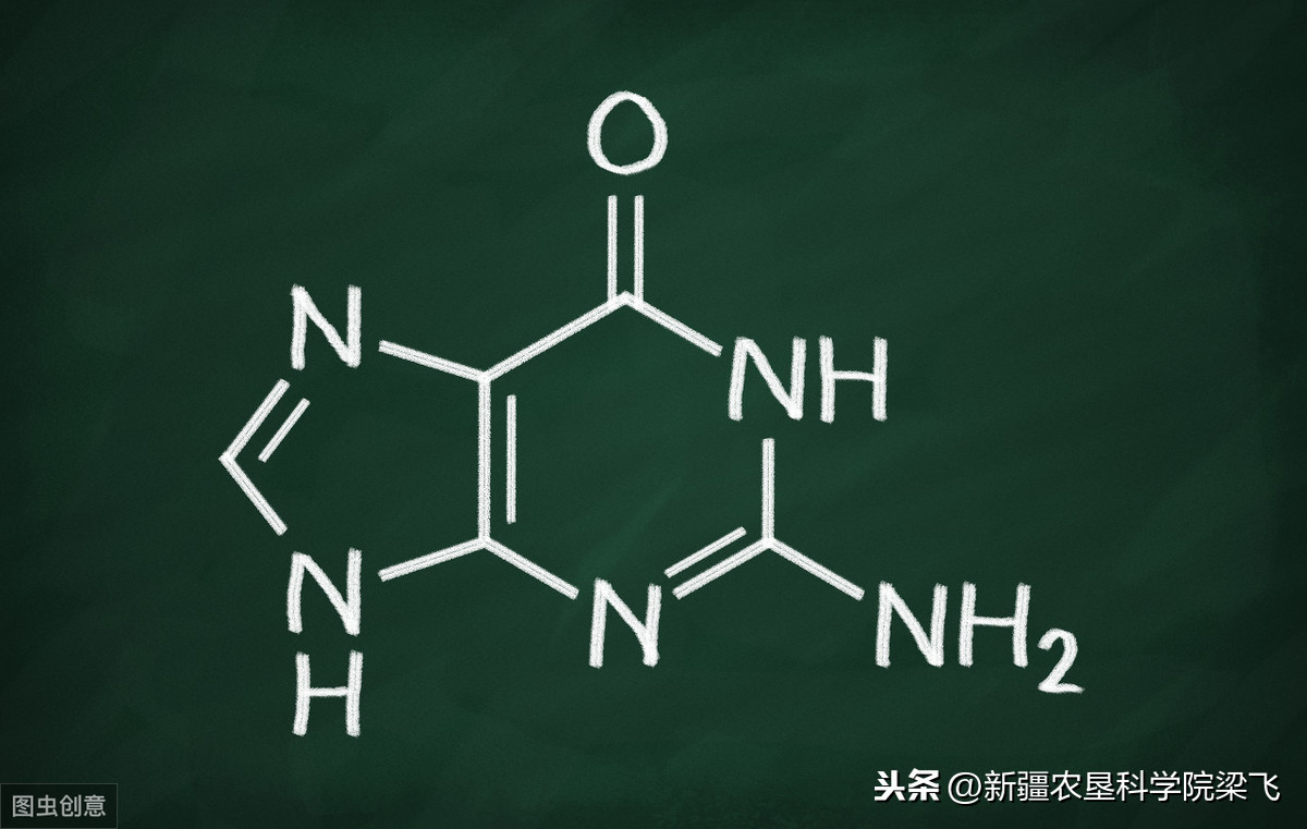 秋施肥中氮肥到底有没有必要，多少量比较合适？