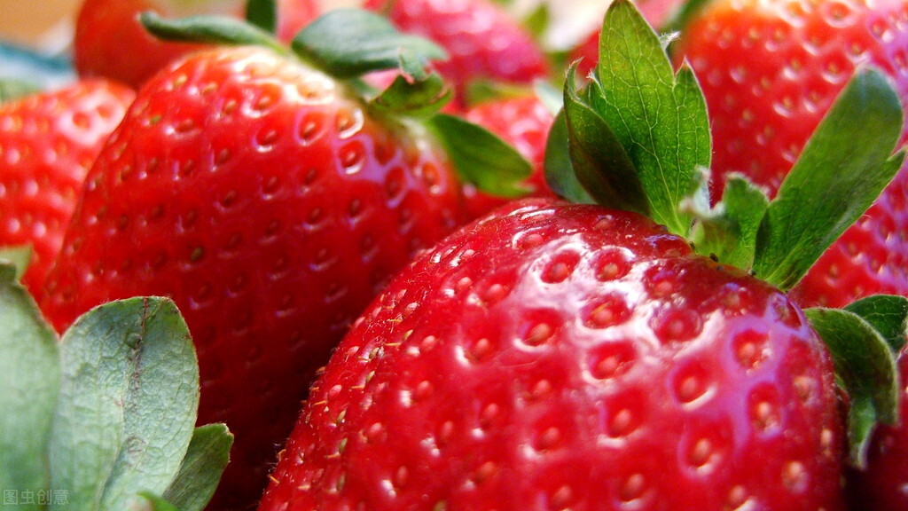 图片[12]-冬天吃不完的草莓怎么储存能延缓腐烂？分享妙招给你学会试下-起舞食谱网