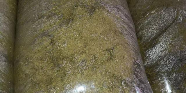 构乡情构树鸡——吃益生菌长大的鸡