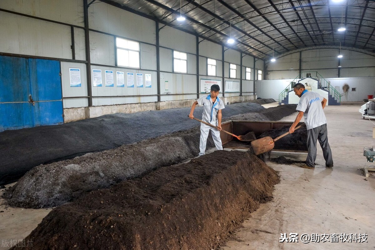 猪场处理猪粪成有机肥用哪种设备好？或许最佳的设备仅需一台铲车