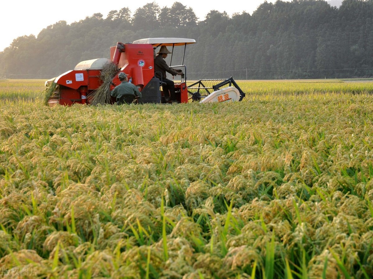 保定鑫飞达农机携手中企动力促进中国农业机械化率提升
