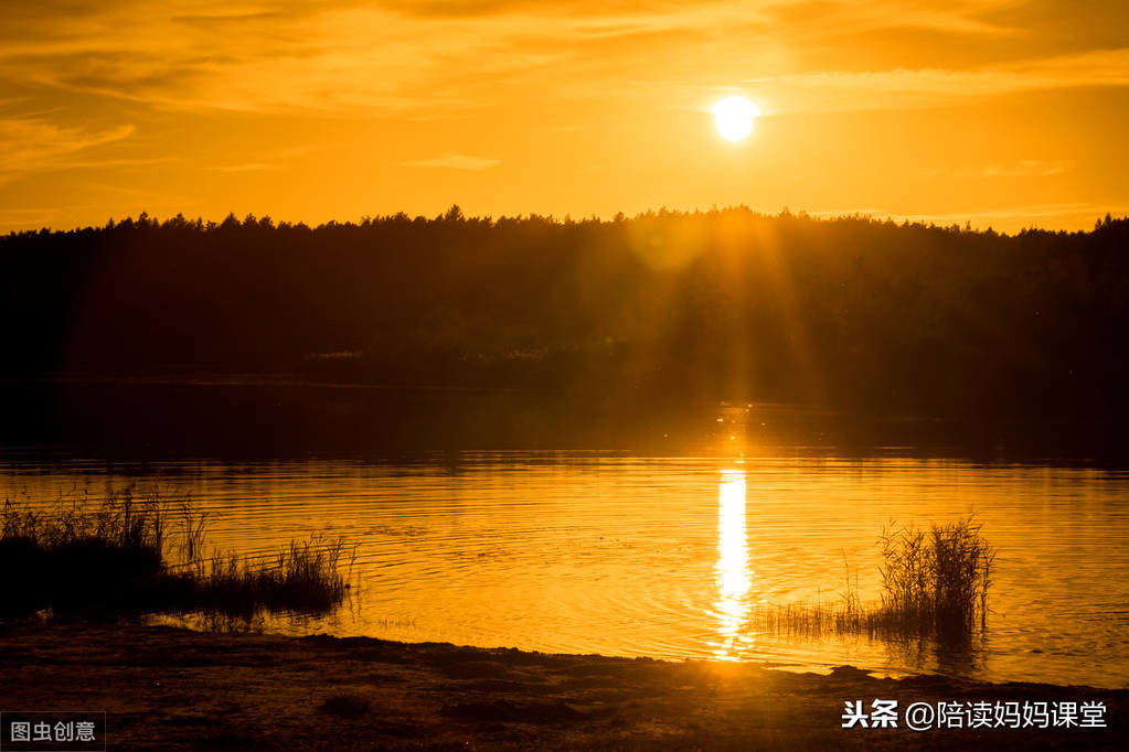 夏天最美的景色，都藏在这些诗词里，一定要给孩子读一读