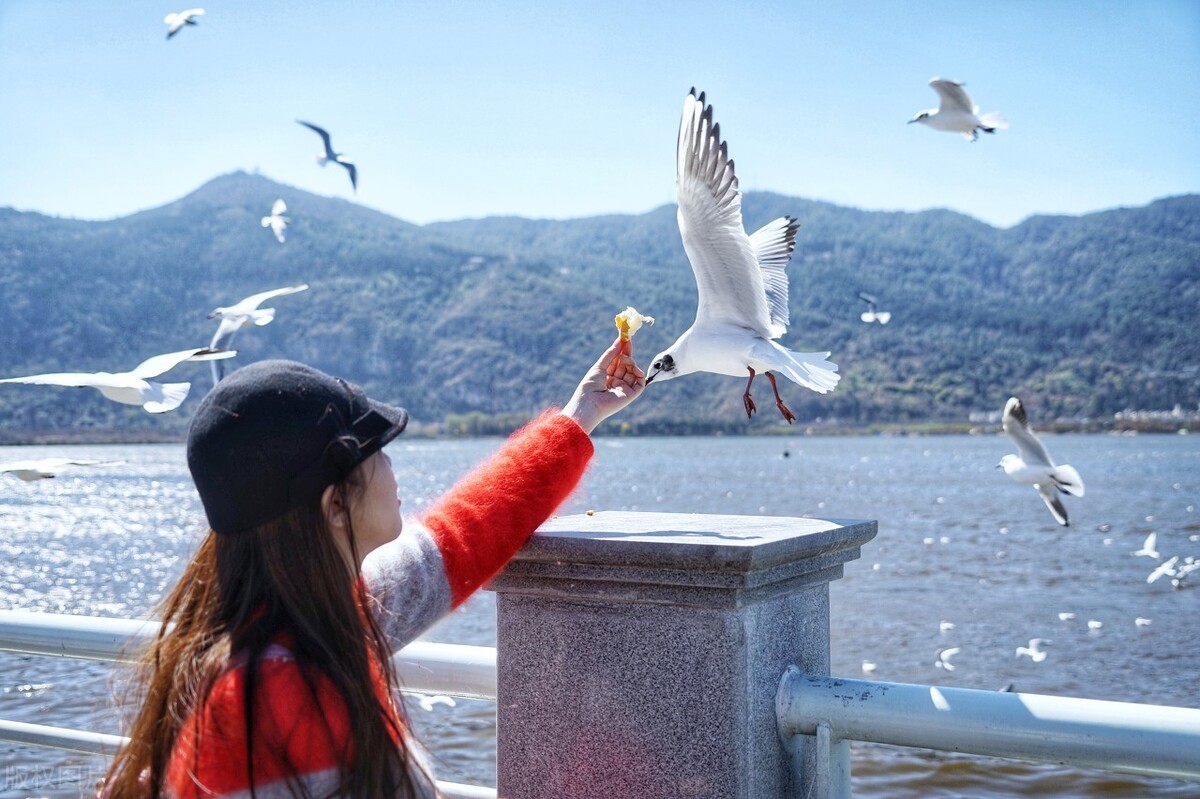 云南旅游景点攻略必去的景点！云南旅游景点攻略需要准备多少钱？