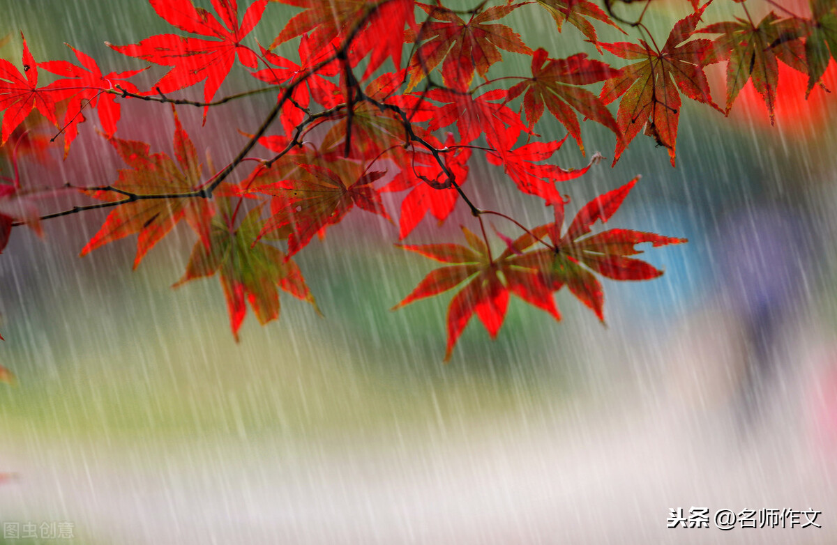 一篇写满对生活的热爱的优秀学生习作：九江的秋色