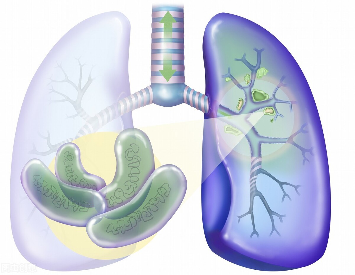 肺病都会传染吗？这7种常见的肺病需了解，早知道早预防