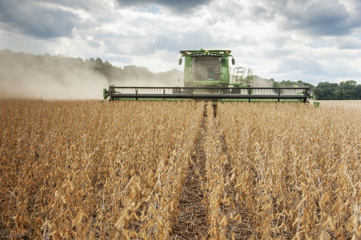美国耕地24亿亩，农民300万，为何能打造世界第一农业？
