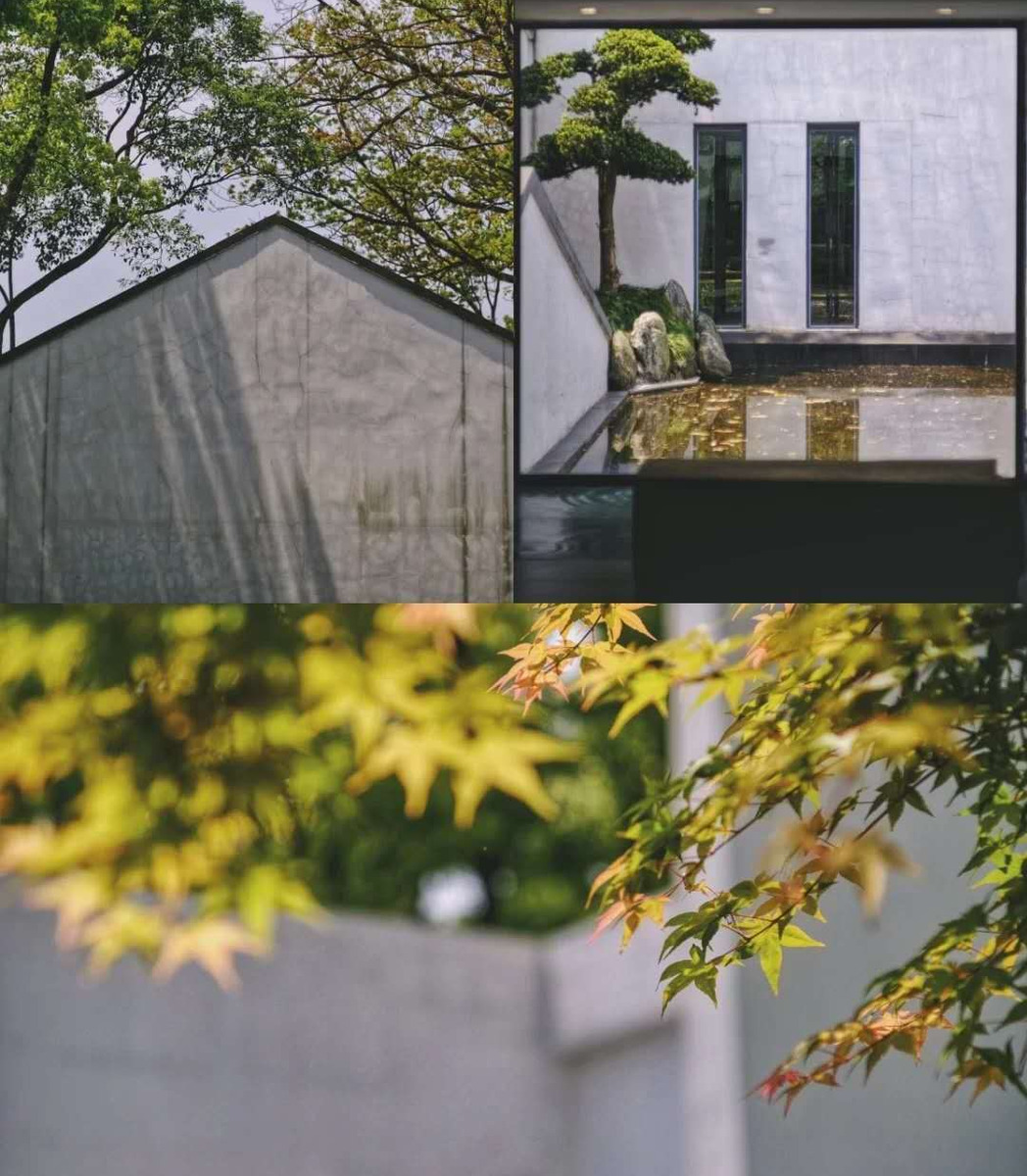 宁波亲子游，趁着金秋时节去这三个地方，打卡日式园林里的博物馆
