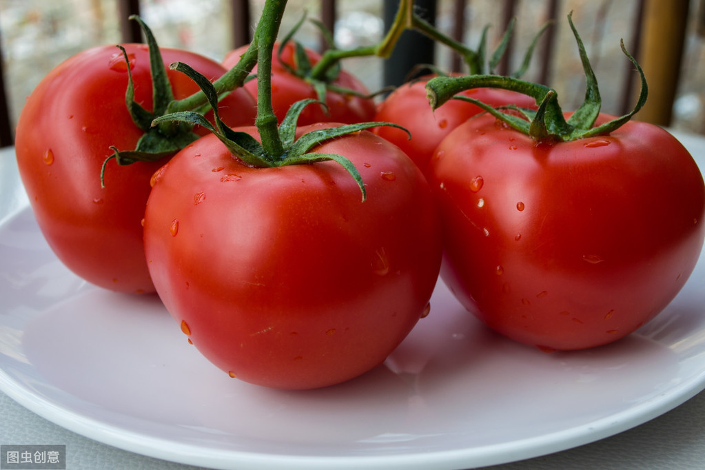 图片[3]-挑西红柿时选圆的还是选尖的老菜农：牢记这3点保证个个好吃-起舞食谱网