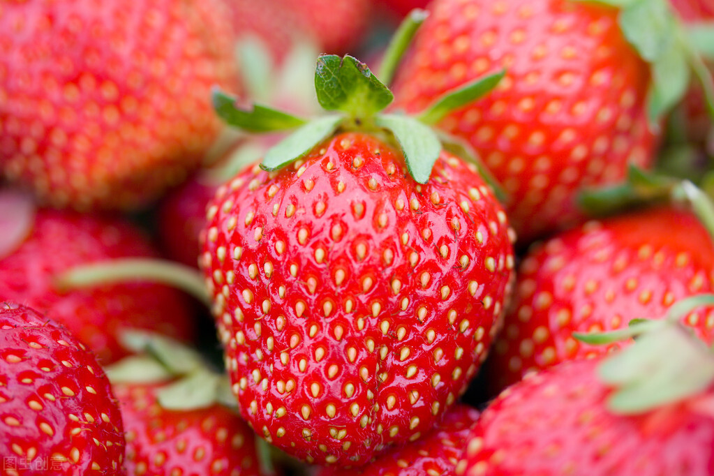 图片[9]-冬天吃不完的草莓怎么储存能延缓腐烂？分享妙招给你学会试下-起舞食谱网
