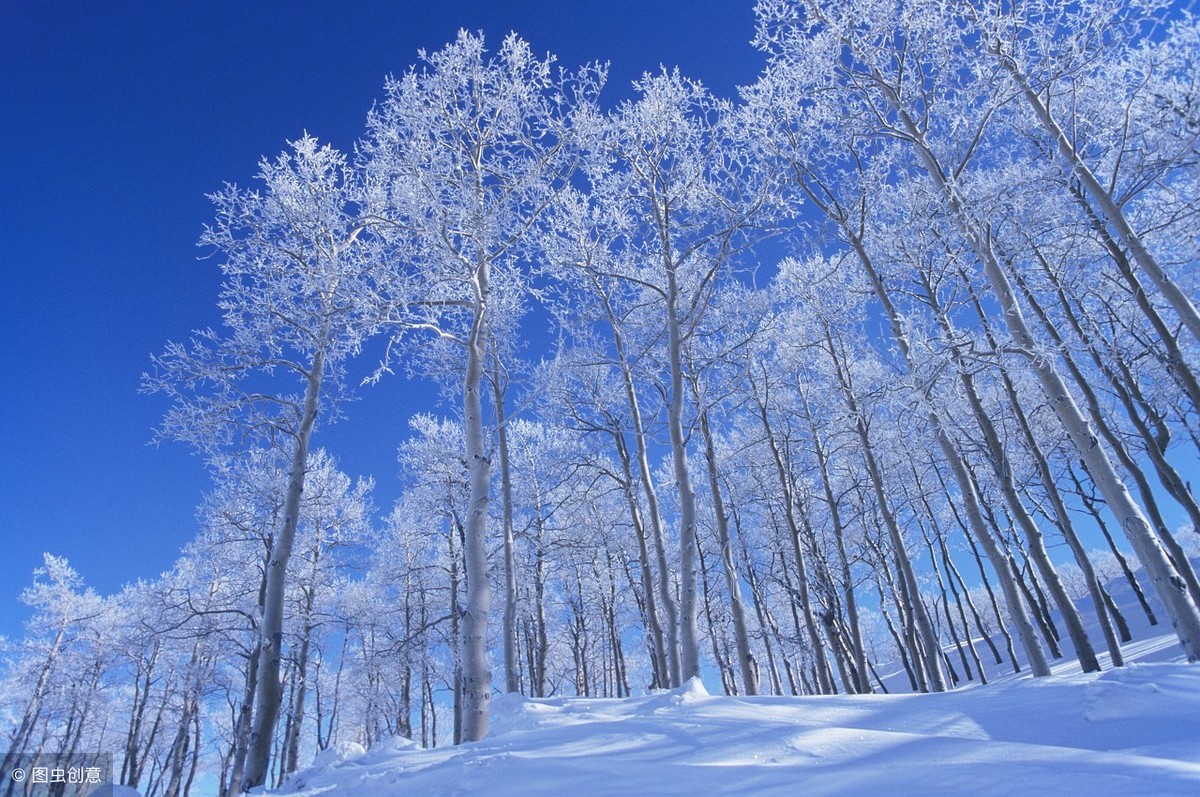 古代的冬天是怎样的？50句诗词带你穿越千年看看以前的美景-第7张图片-诗句网