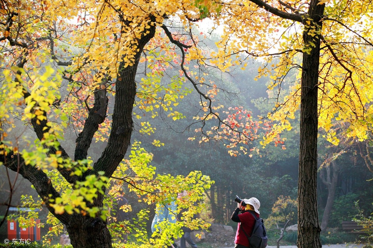 冬日也凄美：醉看墨花月白，恍疑雪满前村-第10张图片-诗句网