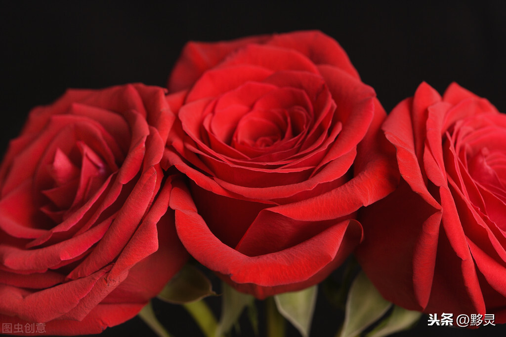 “三朵玫瑰花的故事”带来的触动，守护好孩子心中的爱