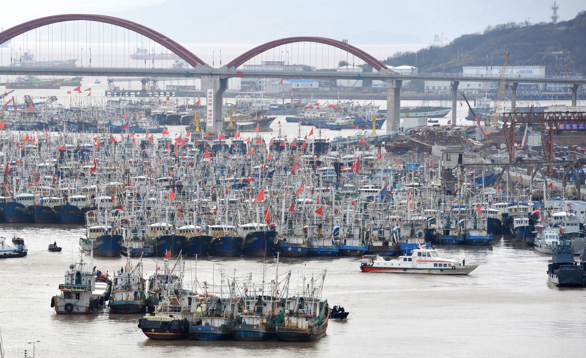 海洋的“报复”：绝户网、拖底网，渤海、舟山渔场已成“死海”？