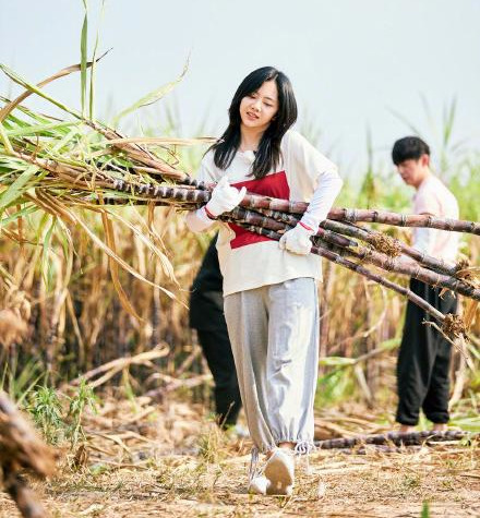 《向往》带给了嘉宾什么？看返场嘉宾谭松韵给节目的反馈你就懂了