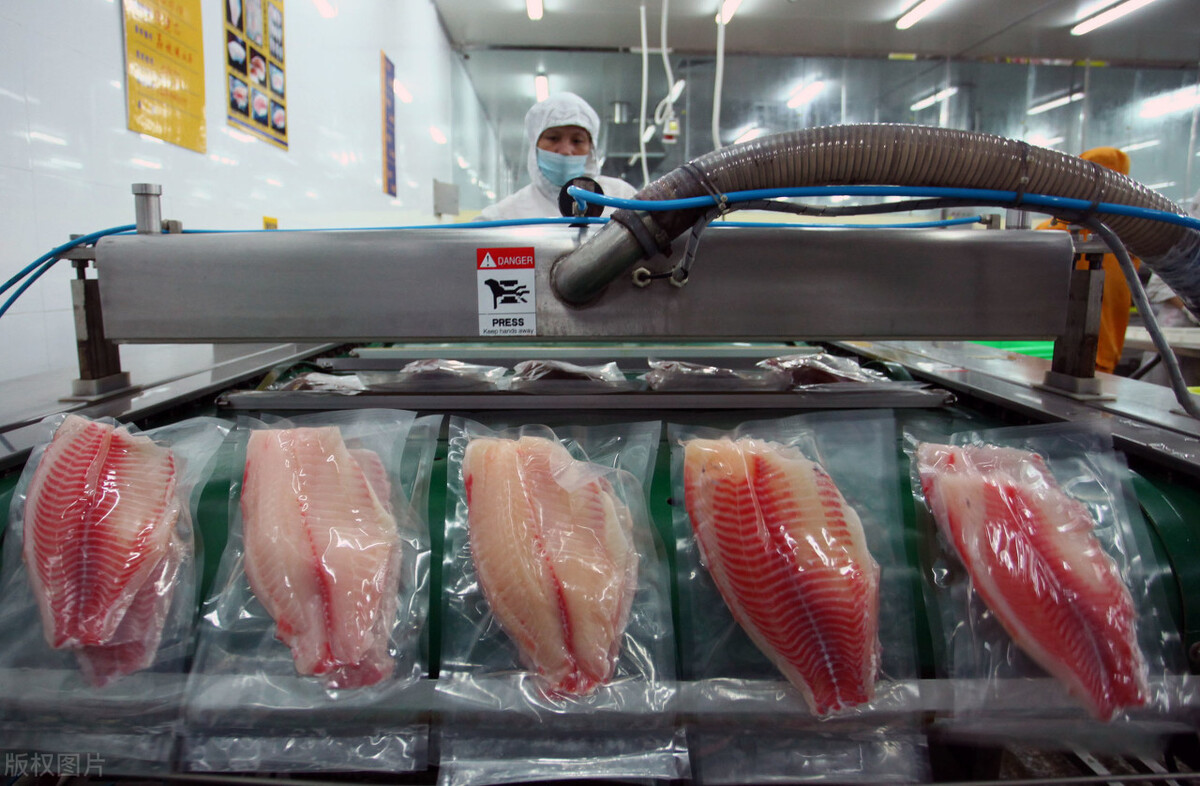 出口美国受阻，中国把罗非鱼卖到全世界
