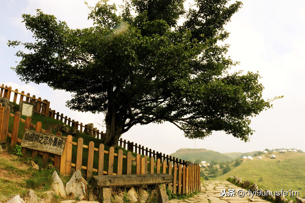 你適合吃山楂嗎？中醫(yī)說：有4類群體要慎食，別忽視