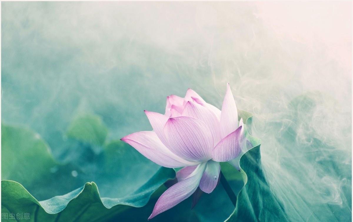 眼有星辰大海 心有繁花似锦 愿你历尽千帆 不染岁月风尘