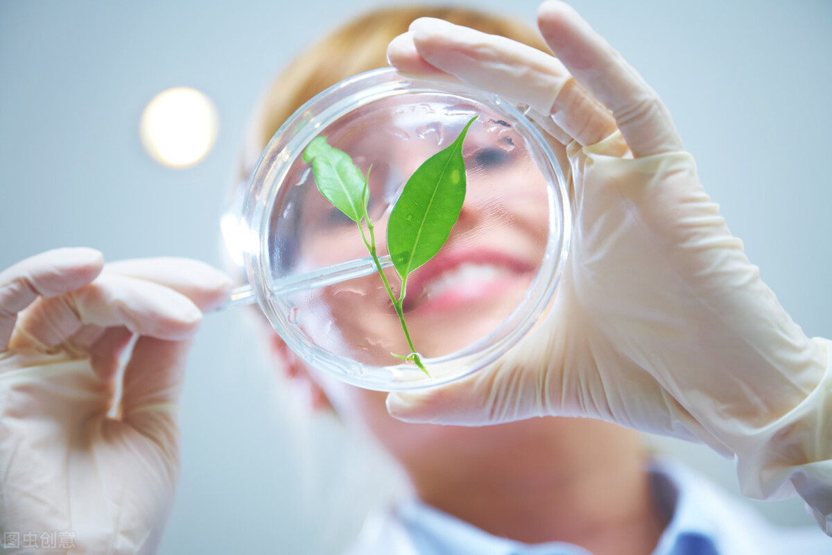 发现微生物能授予专利权吗？