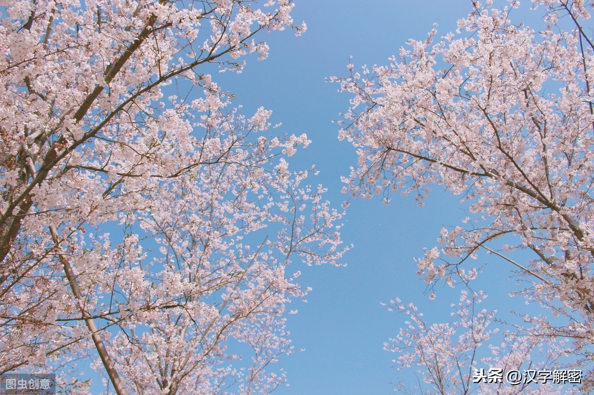 连续两句含有风的诗句（上下两句含有风的诗句）