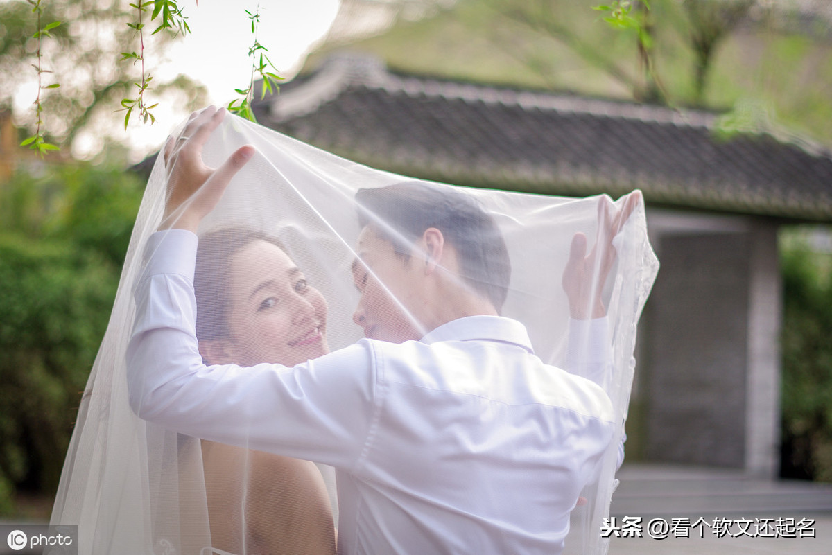 你们看过网络小说中哪些情节让你觉得作者没生活常识?