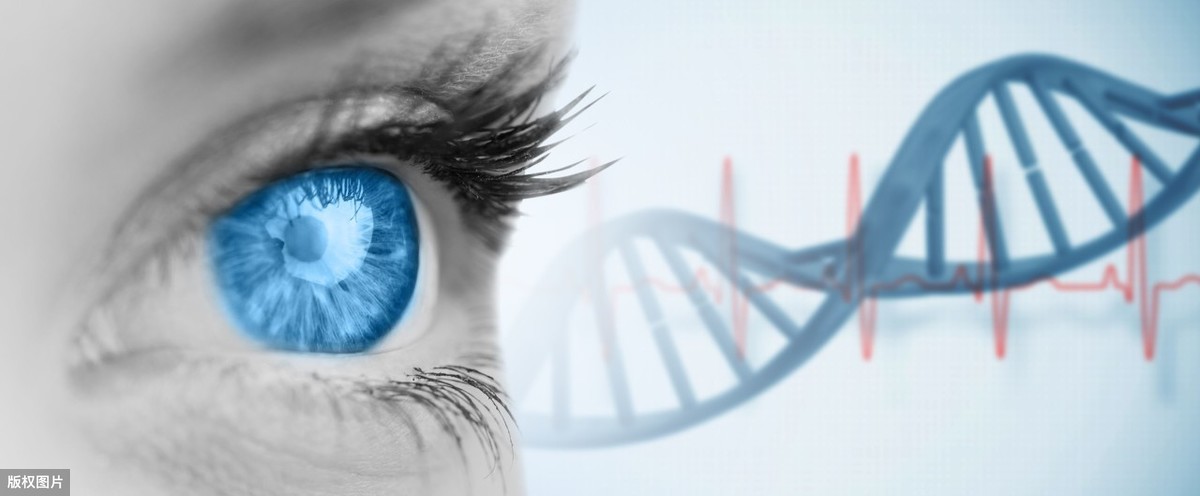新基因疗法可有效治疗完全色盲