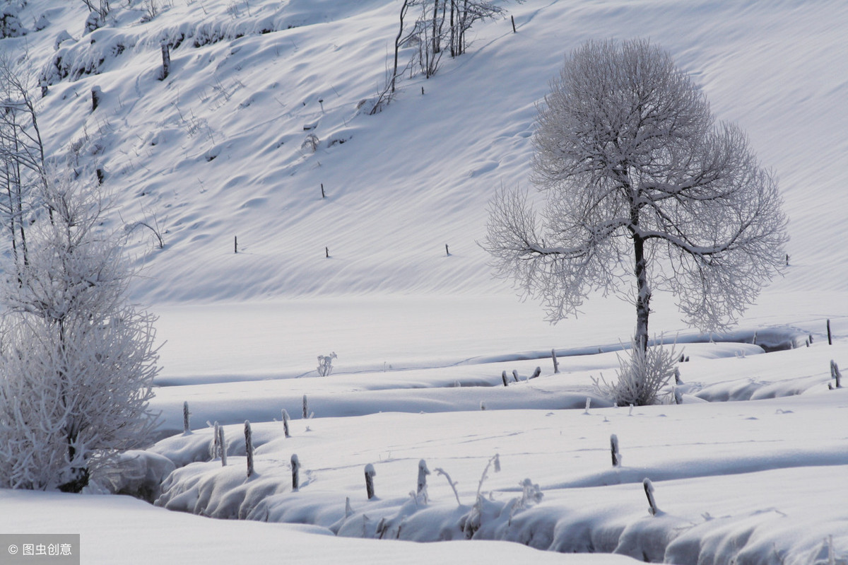 古代的冬天是怎样的？50句诗词带你穿越千年看看以前的美景-第3张图片-诗句网
