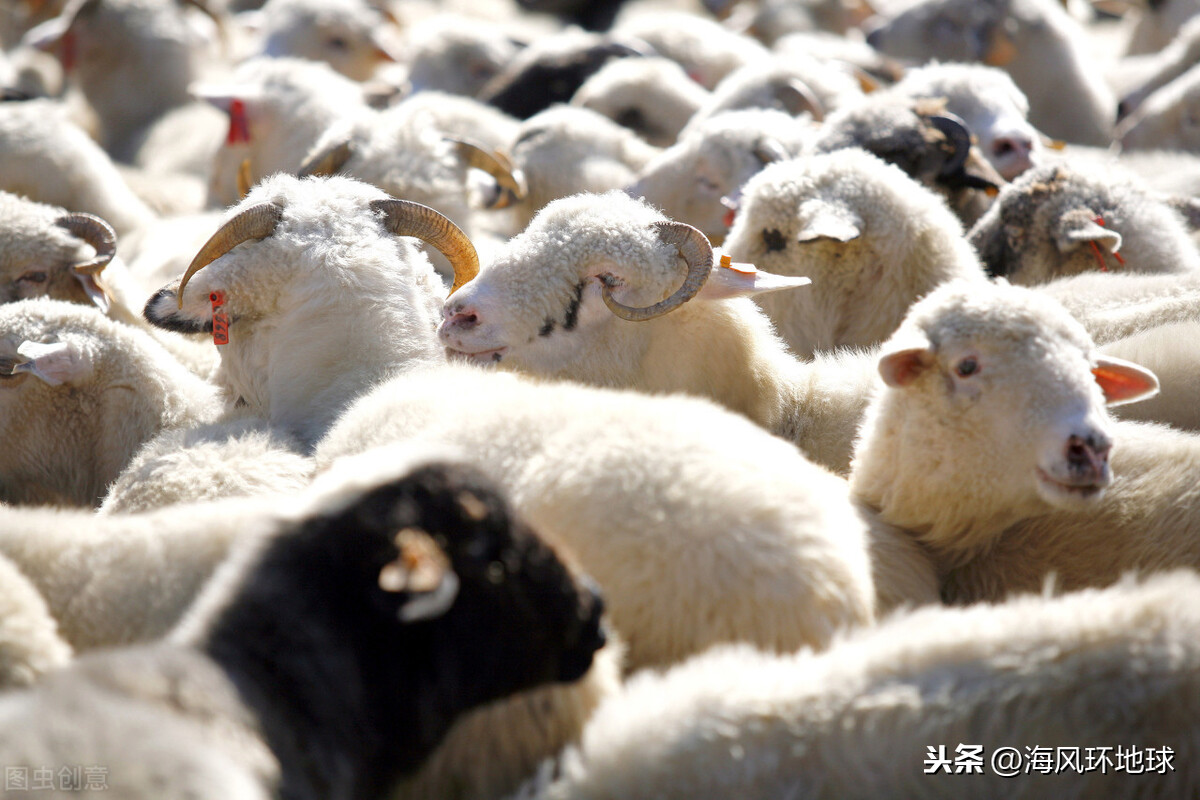 最冷首都離北京很近？最低氣溫-40℃，蒙古人為何定都烏蘭巴托