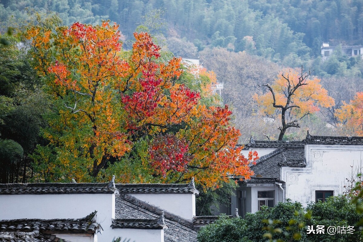 错峰旅游，11月份值得去的三大目的地，秋景都非常的美