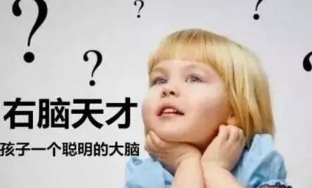 孩子全脑教育