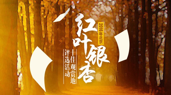 “2016年北京红叶银杏十佳观赏地”评选活动将启动