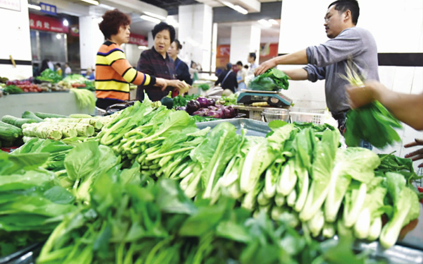 四川南充：秋季蔬菜陆续上市 价格有望回落