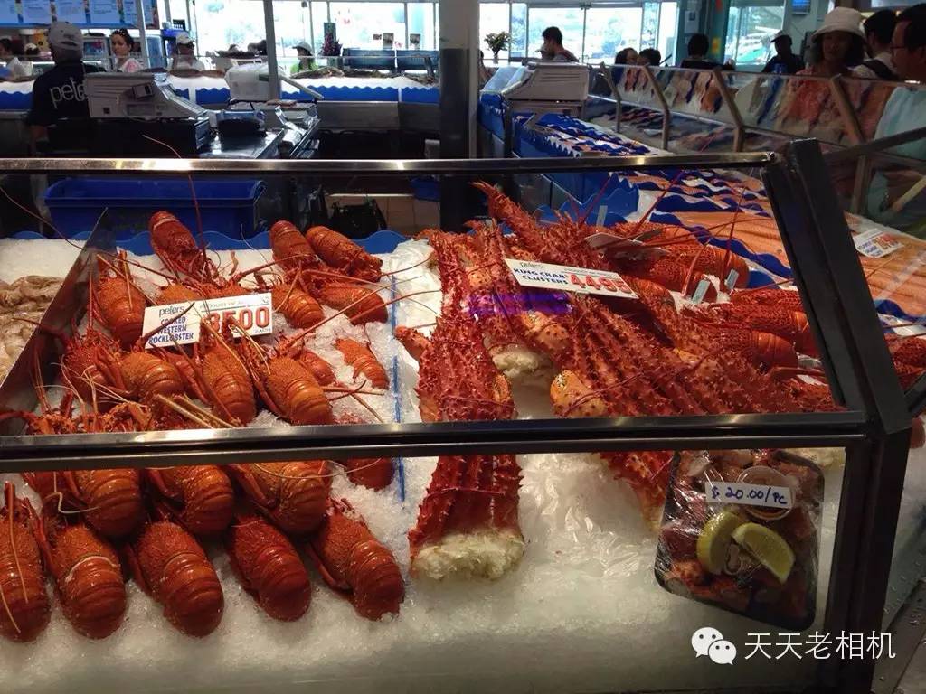 世界第二大的海鲜市场，你知道吗？