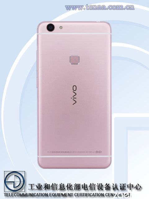 改档王vivo Xplay5S显卡跑分配备曝出，市场价或远超3500元