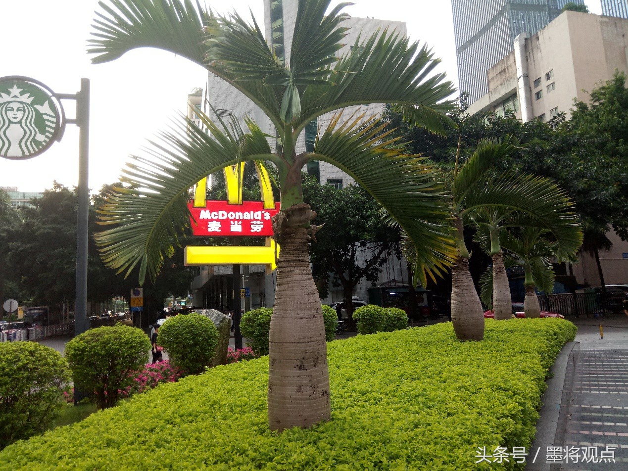 一款买得起的逼格商务机，TCL 580详细评测